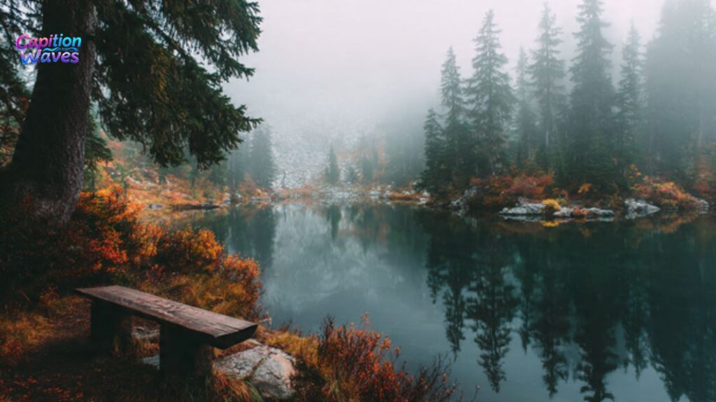 One Word Nature Captions for Instagram