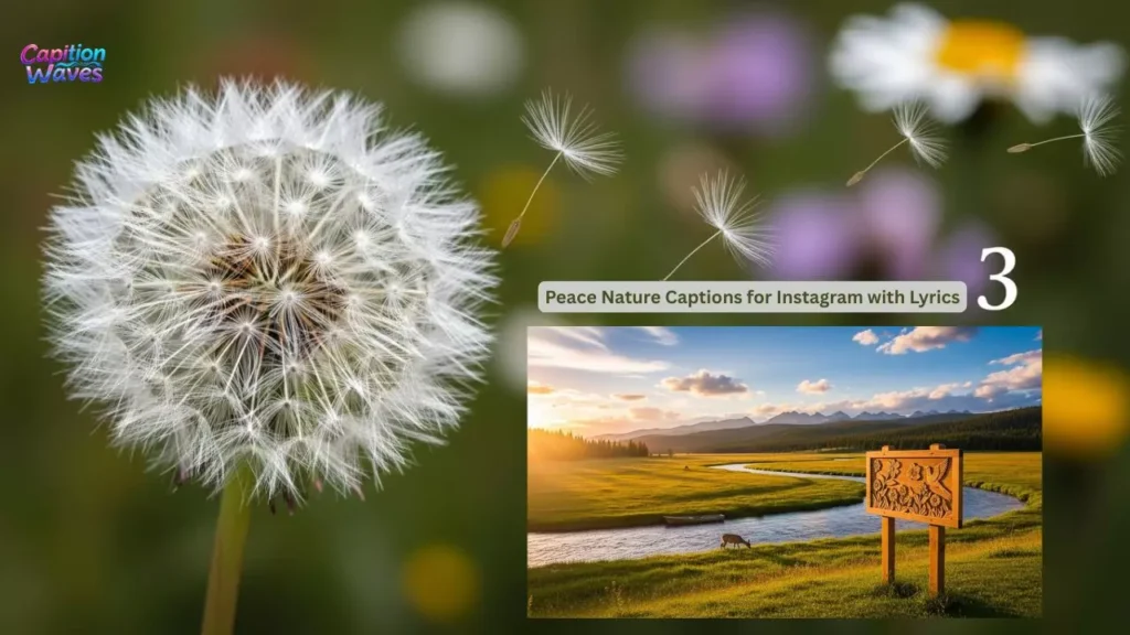 Peace Nature Captions for Instagram with Lyrics